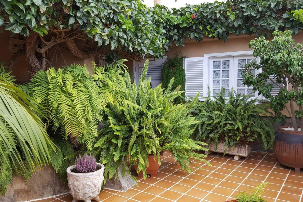 Orotava Garden House Perfect For Families Villa La Orotava Eksteriør billede